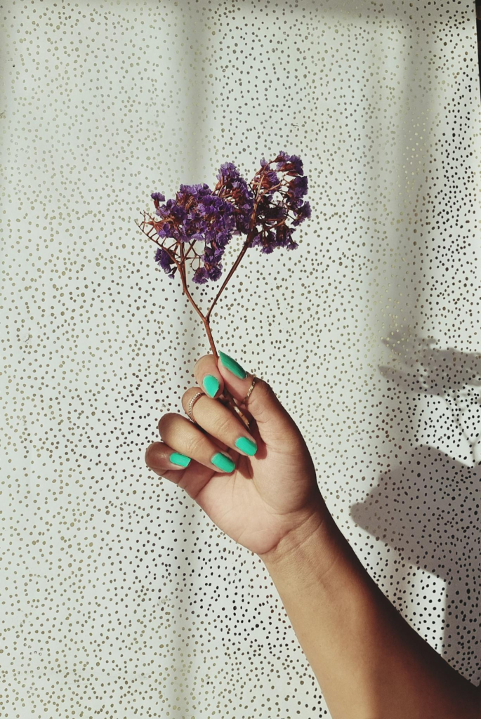 Close-up of Holding a Purple Flower